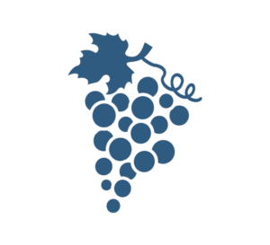 grappe de raisin élément de base de la viticulture et de la production viticole