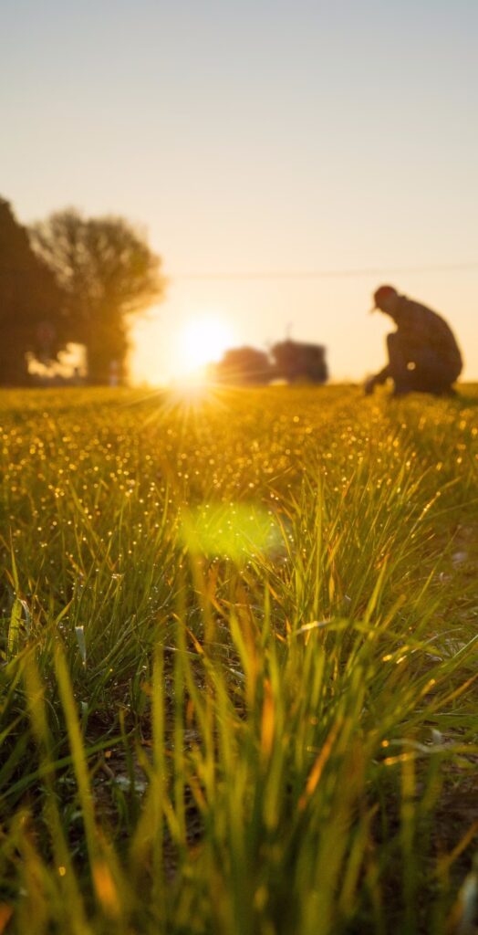 couche de soleil nature